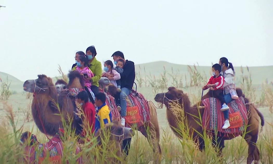 沙漠变绿洲是怎么做到的,把沙漠变成肥沃的土地