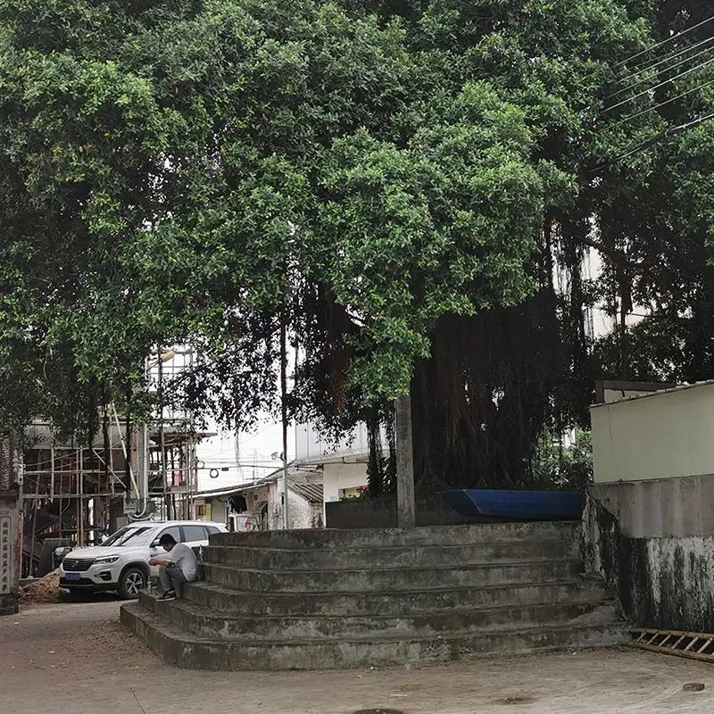 美涂士艺术漆电白,美涂士海洋之星空气焕新