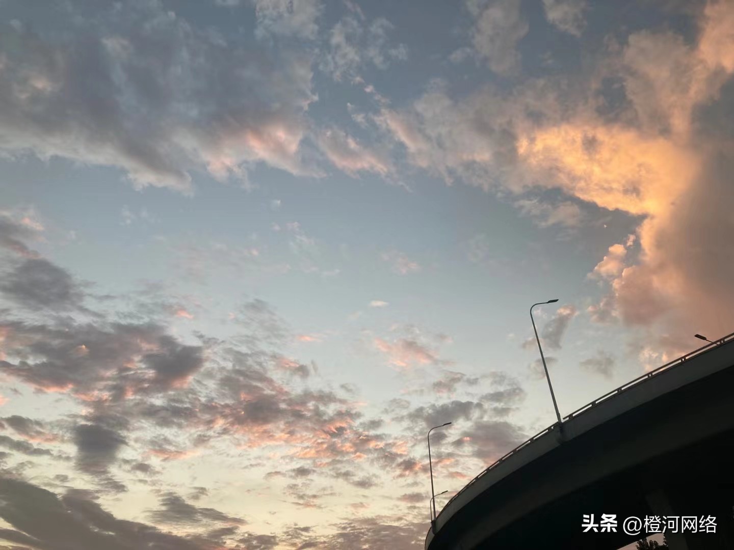 橙河网络：海外问卷调查项目可靠吗？怎么做的？