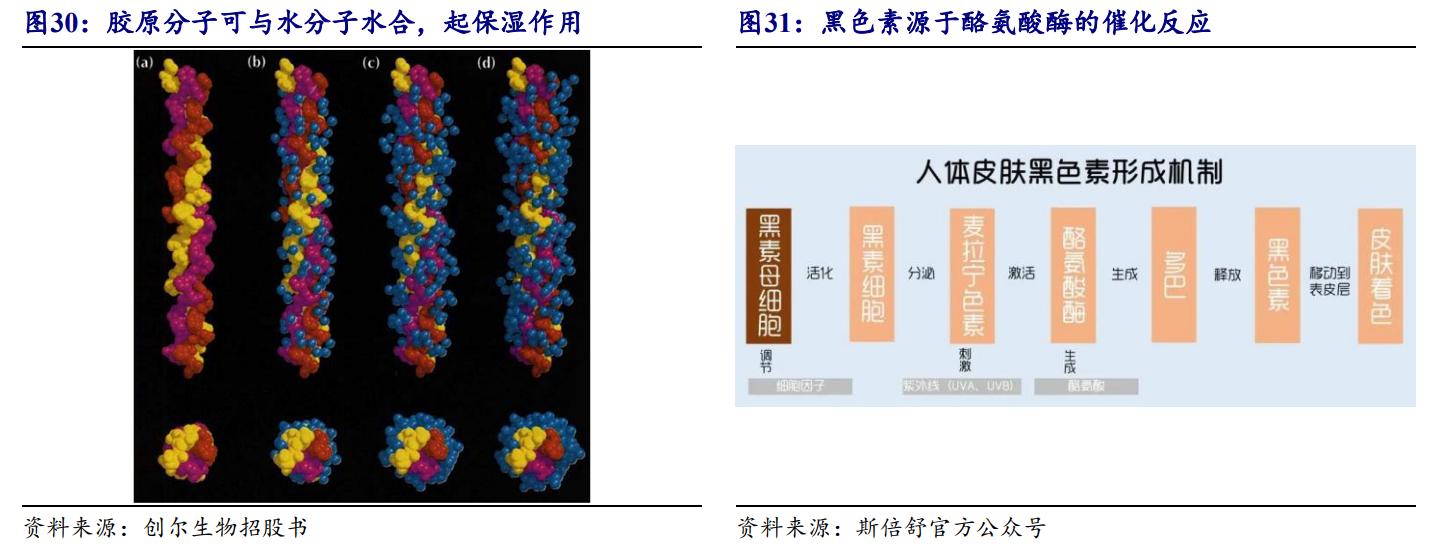 鑳跺師铔嬬櫧鍥藉唴宸蹭笂甯傜殑鍏,鑳跺師铔嬬櫧鑳藉惁鎴愪负璺ㄨ秺鍛ㄦ湡鍘熸枡