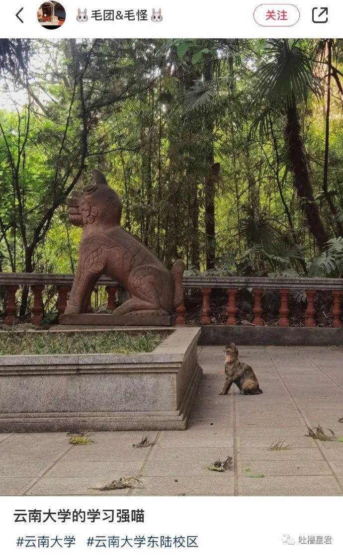 女友穿吊带裙男朋友的反应,女友买了新裙子