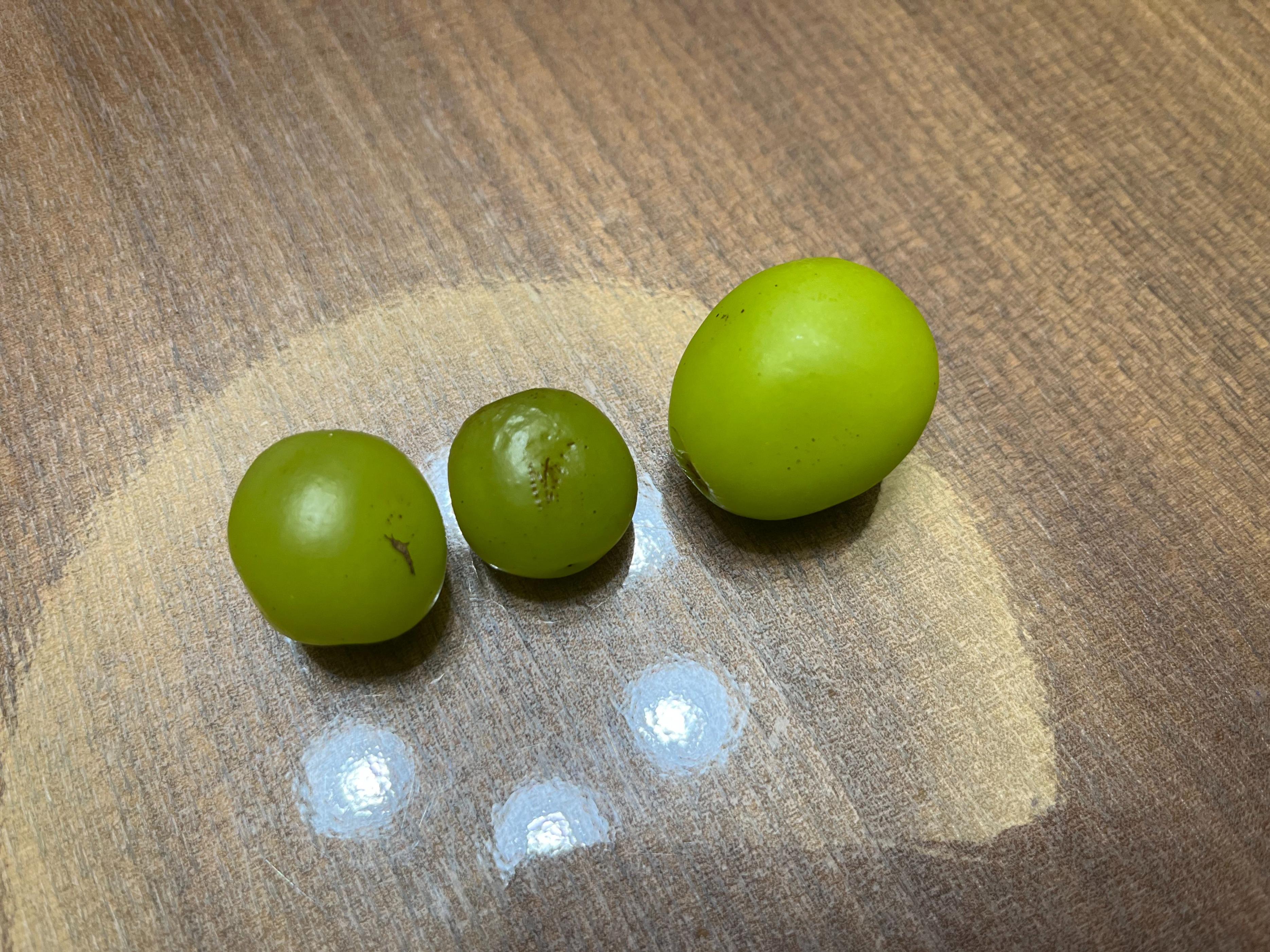 tcl格物冰箱q10尺寸,TCL格物冰箱Q10价格