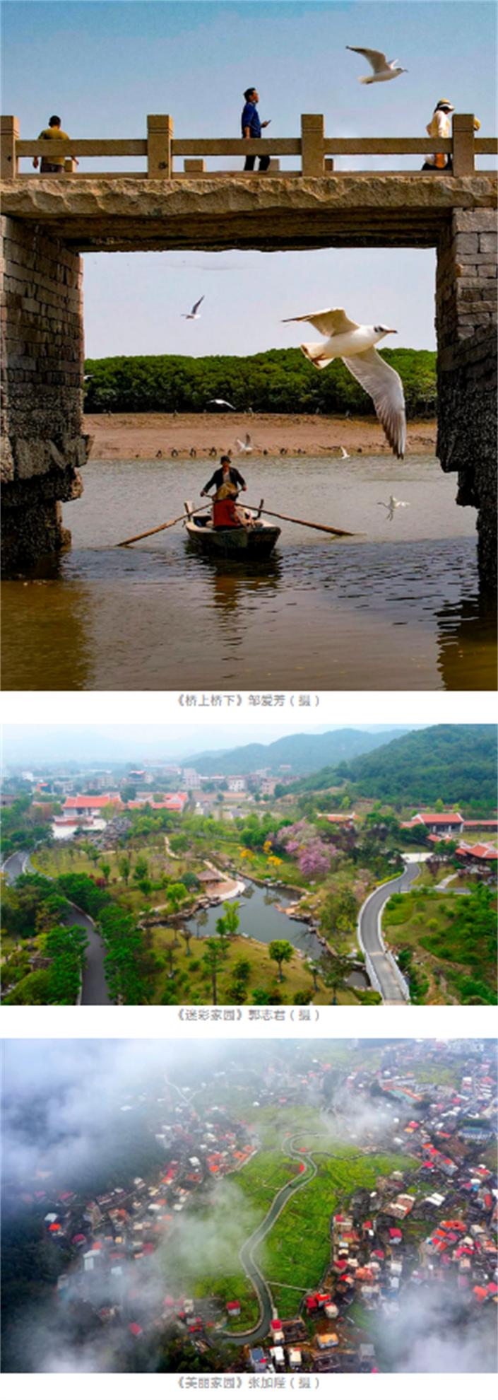 生态环保主题摄影,大美摄影大赛获奖作品