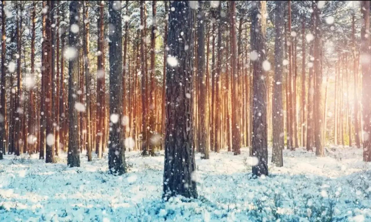 天津二宫老照片,天津二宫最新消息