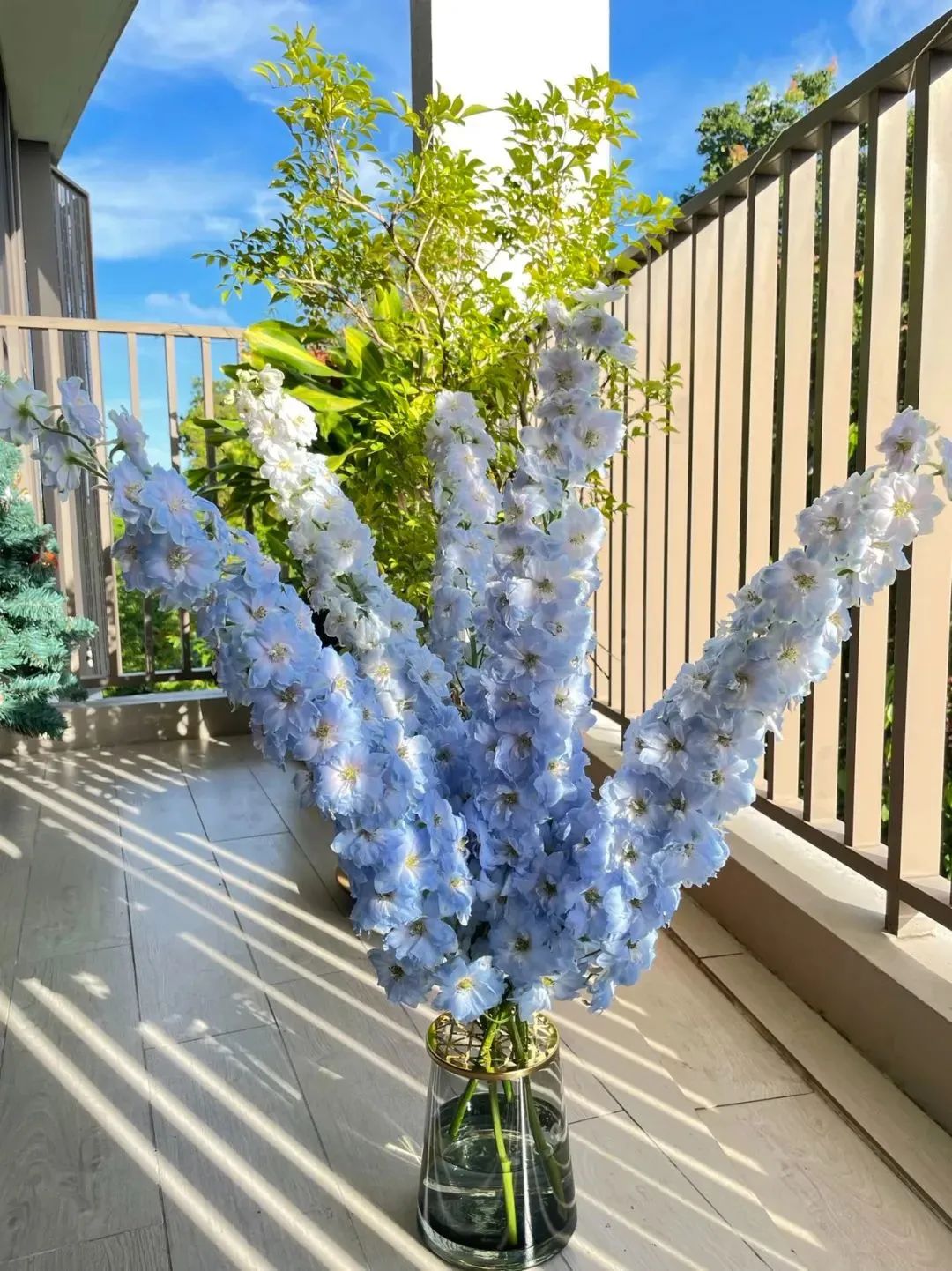 鲜花在水里能养几天会死,新加坡盆栽花卉怎么养