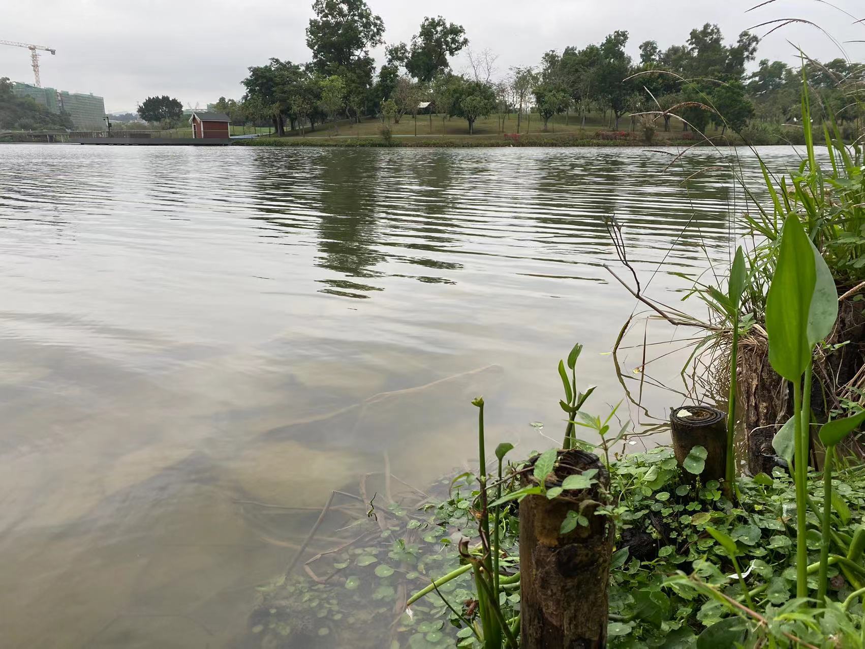 珠海人气最旺的公园,珠海市人爱去的公园推荐