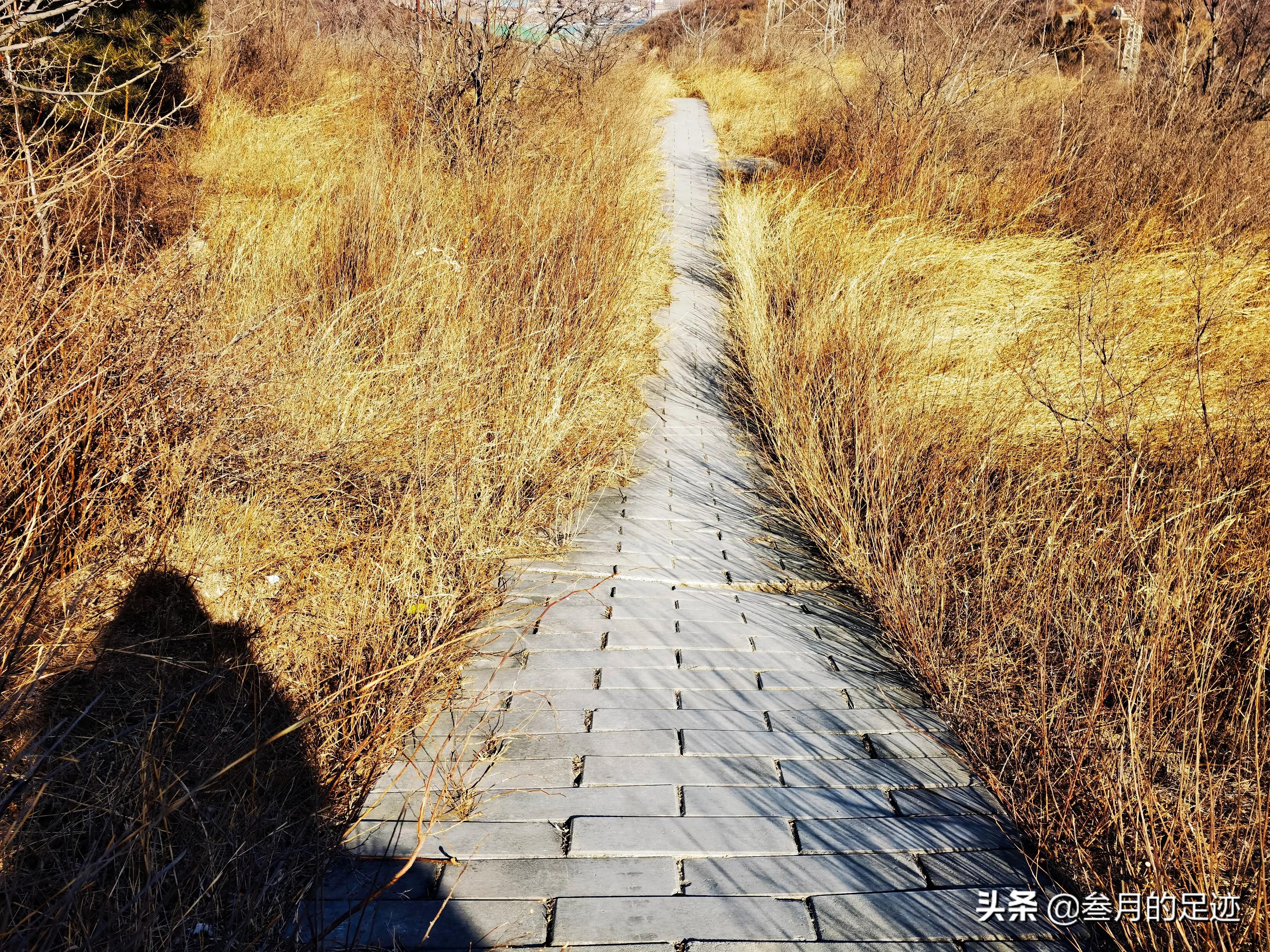 北京门头沟野山徒步攻略,北京门头沟徒步一日游