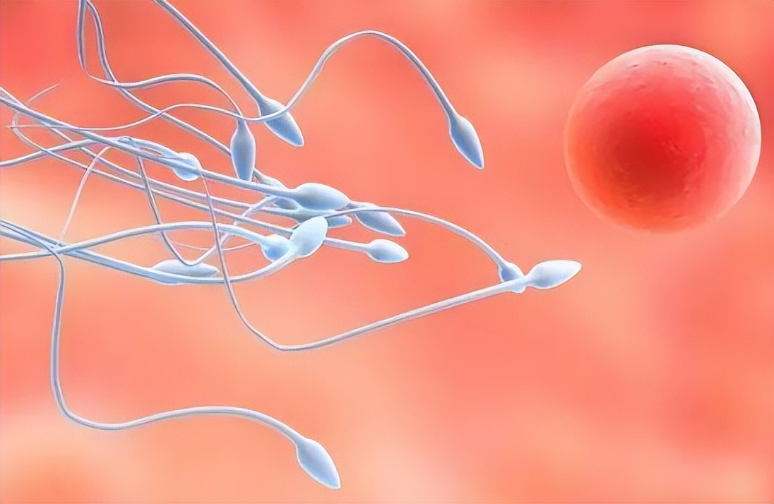 医生呼吁：女性做妇科体检前，一定要“禁欲”，不然会非常尴尬！