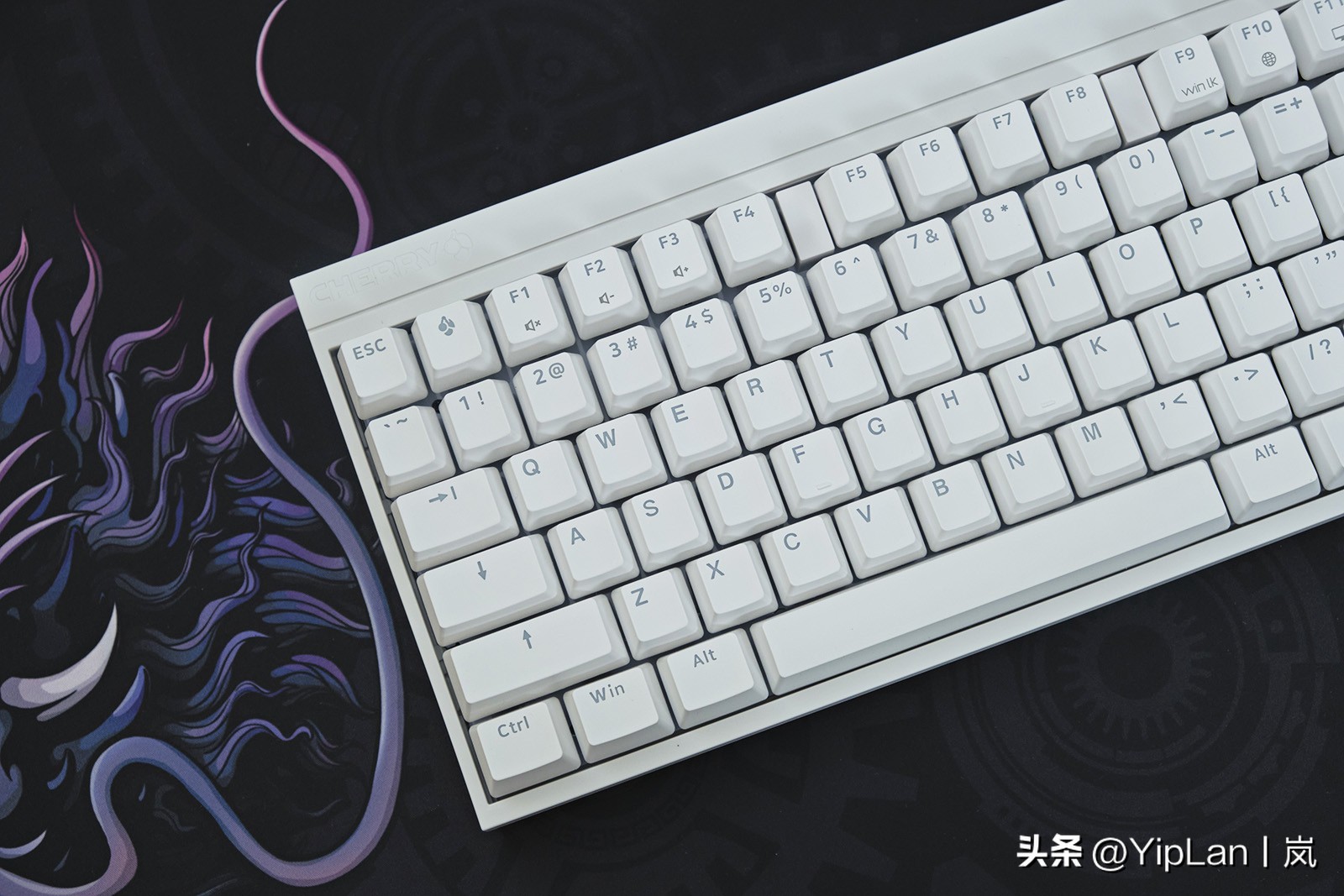 cherry澶栬鎺ㄨ崘,鍞湁淇′话涓嶅彲杈滆礋