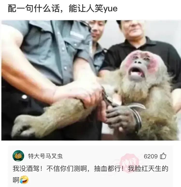 神回复:用日本的*旗国**擦屁股犯法吗?神评绝了,让我大开眼界