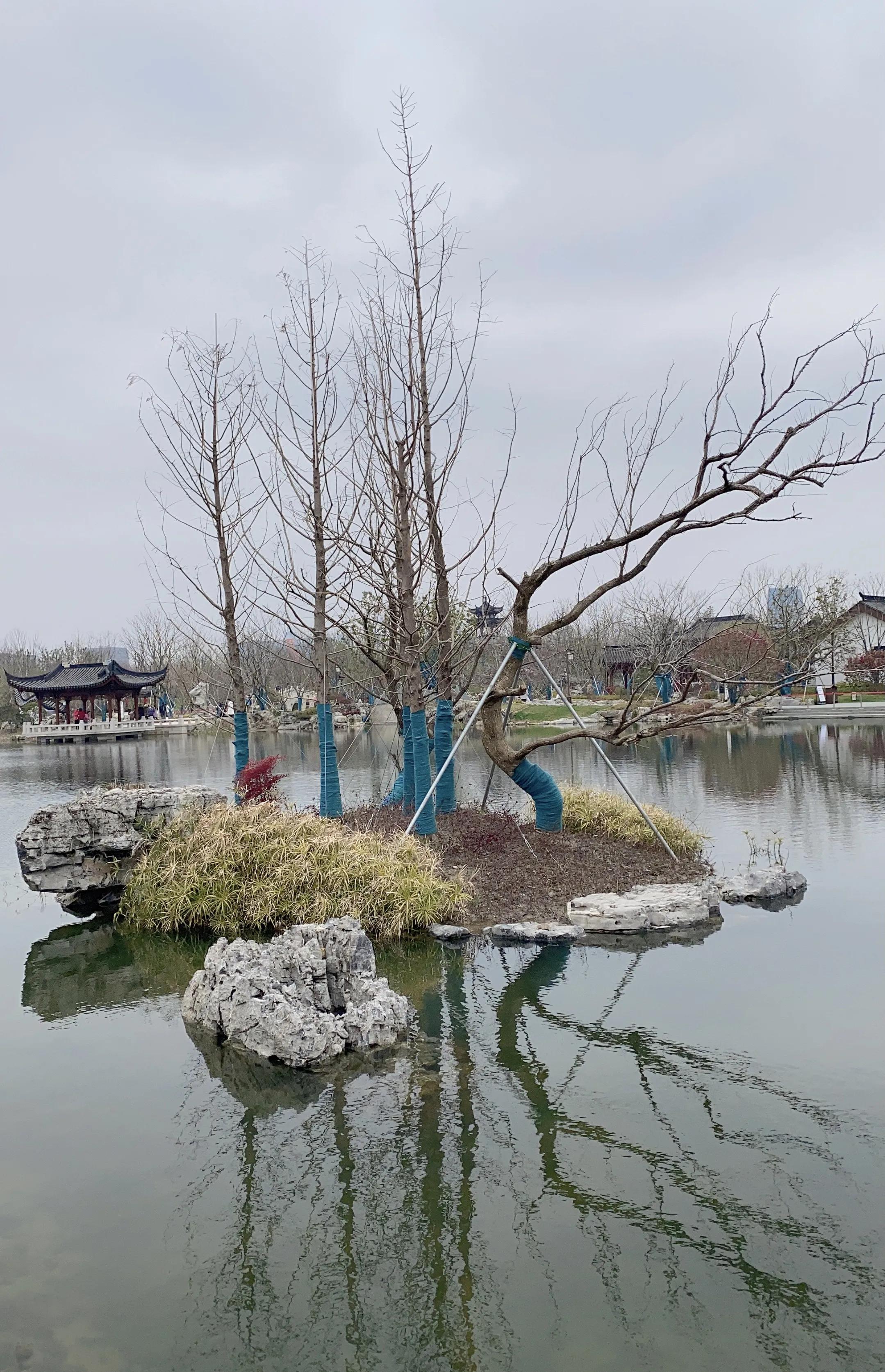 四年级下册习作原创,最新习作