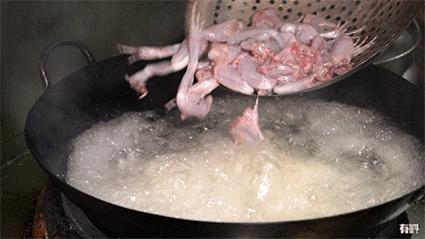 松山湖万象汇牛蛙团购,东莞牛蛙店