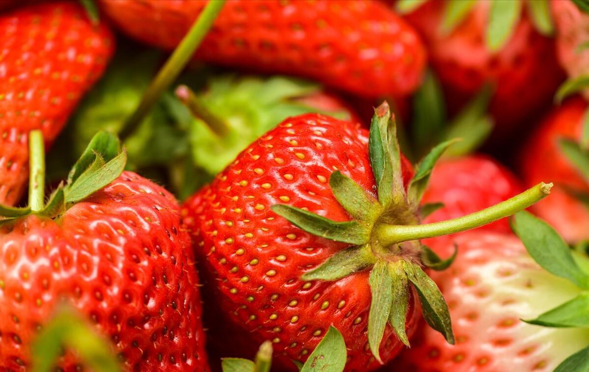 盐水洗草莓的正确方法,清水洗草莓和食用盐洗草莓对比