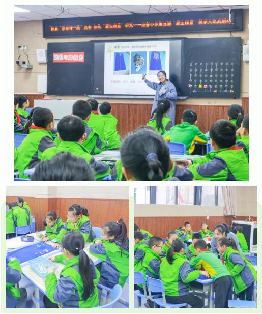 双减政策下如何开展小学科学教学,双减政策下的小学科学课堂