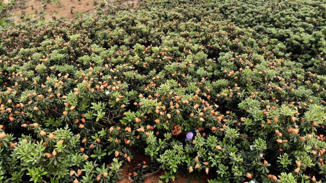 产业金钥匙打开致富门,金钥匙开启财富之门