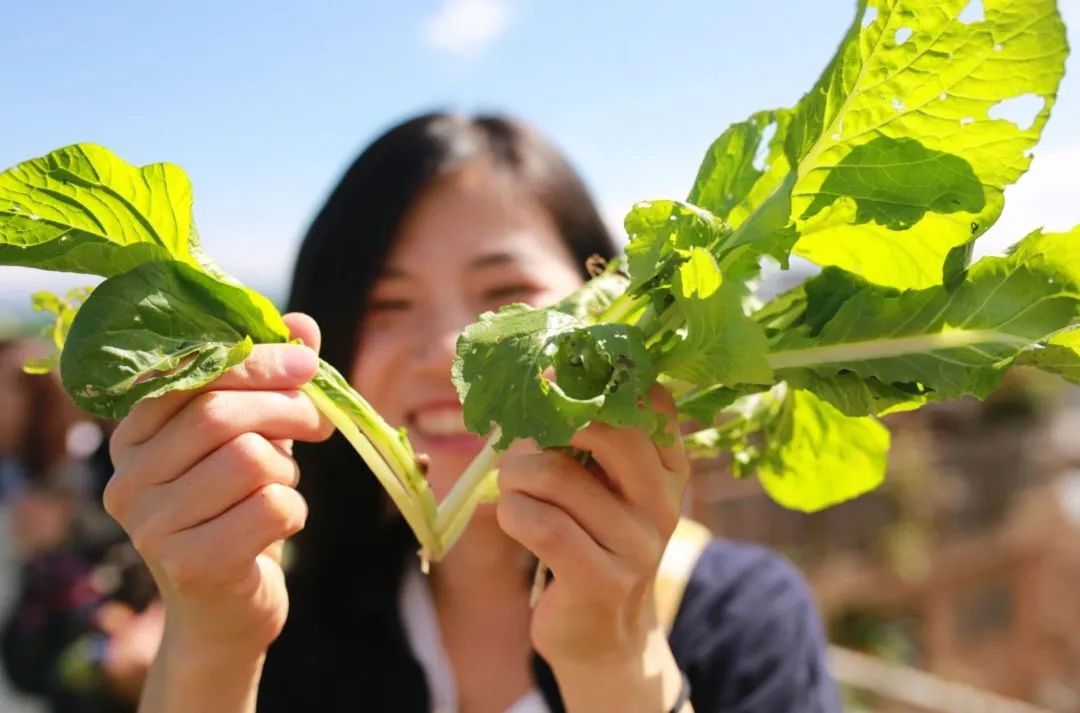 食物故事纪录片,食物故事大全完整版