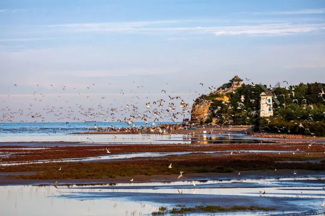 用脚步丈量城市42.195公里,2万多人用脚步丈量西安