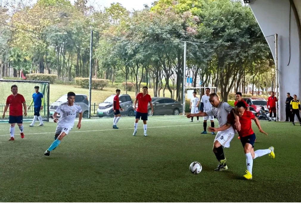 铻嶆按娉曢櫌瓒崇悆,鐕冩儏瓒崇悆姣旇禌鍐犲啗