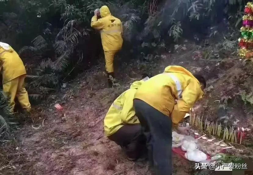 代扫墓收入情况,代扫墓成功后费用