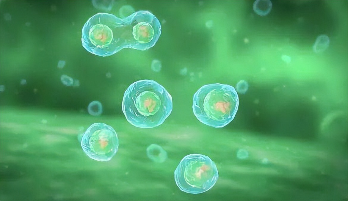 从炎症到癌症,一般需要多长时间?医生:3种炎症,尽量不要拖