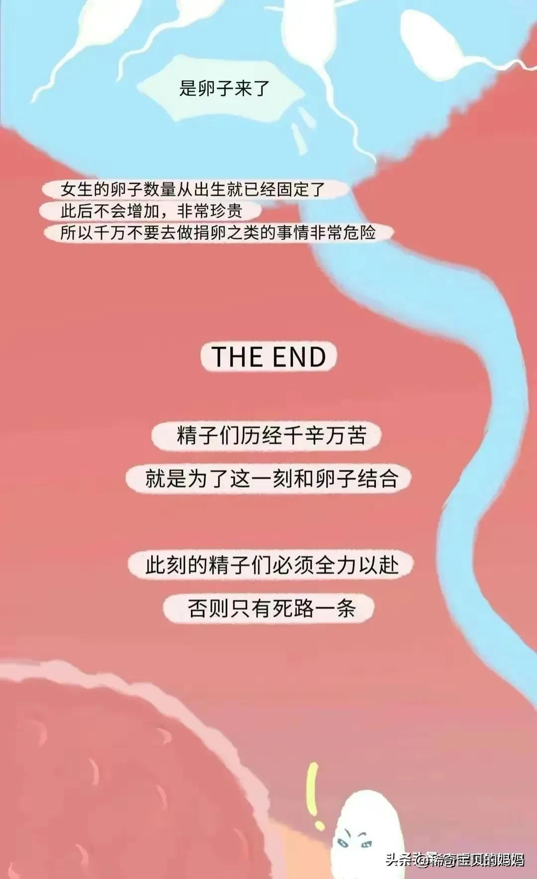绮惧瓙杩涘叆浜轰綋12灏忔椂鍙樺寲,绮惧瓙杩涘叆浜轰綋24灏忔椂鍙樺寲