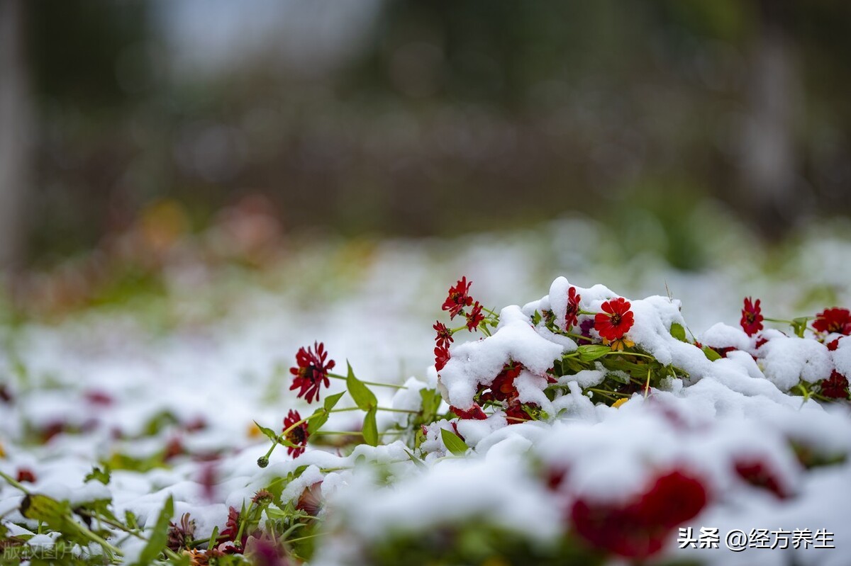 诺如病毒中医治疗案例,诺如病毒中医治疗方子