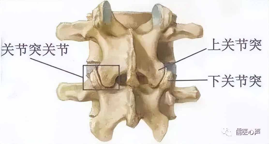 抢菜抢不到该怎么活,抢菜抢米啥都抢该怎么办