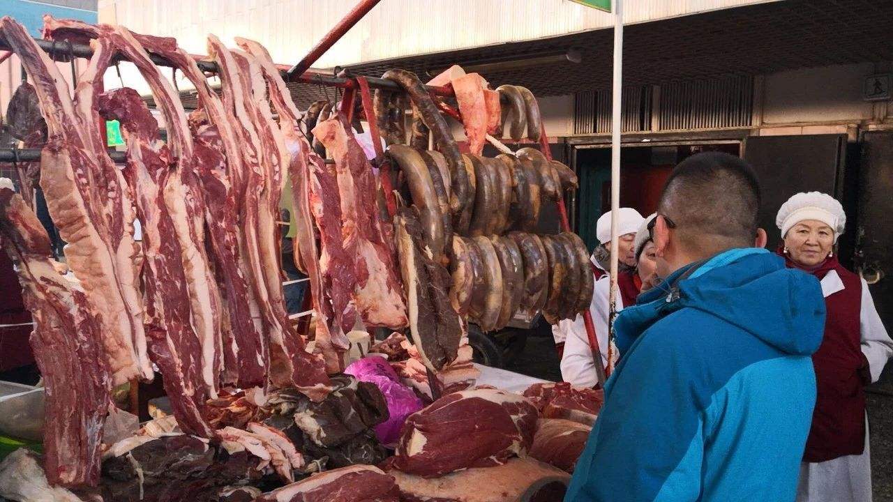 中亚哈萨克斯坦国内什么情况,哈萨克斯坦国家现况