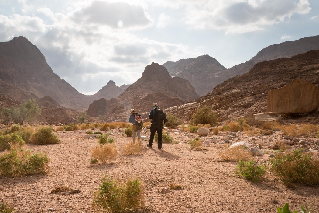 疫情后哪个国家旅游最好,疫情后海外旅游推荐