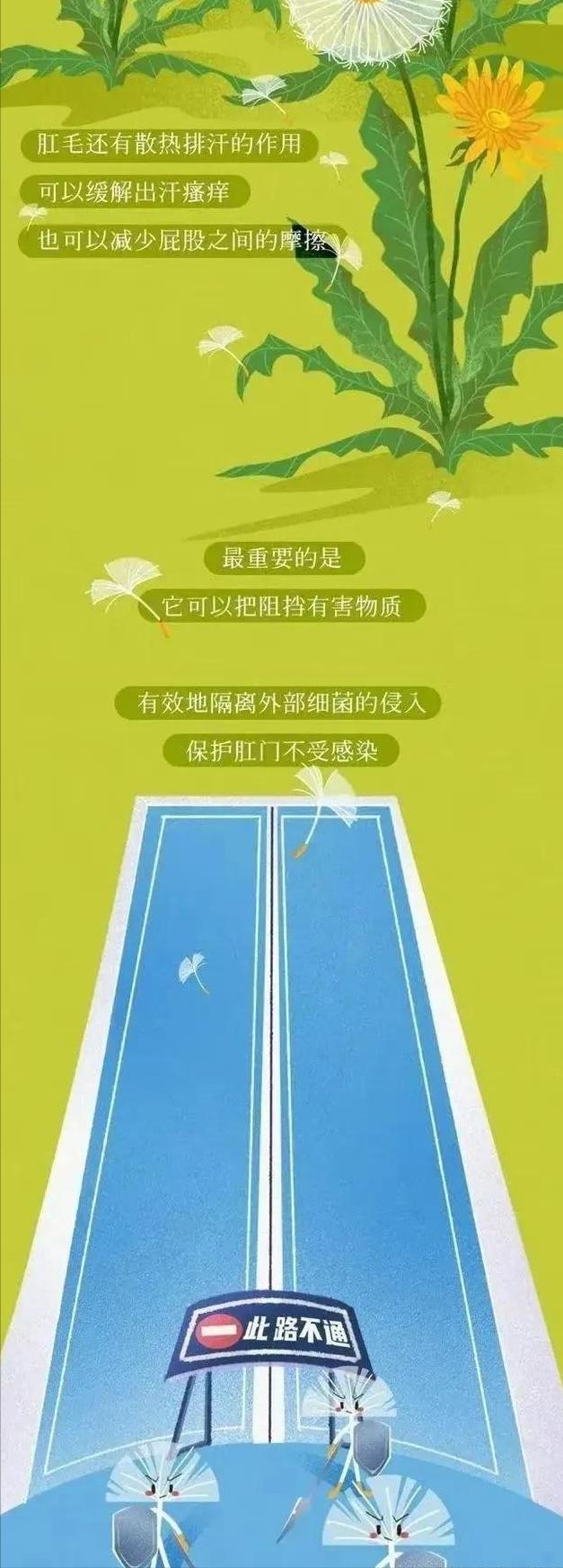 漫画科普：你的肛门周围也长“毛”吗？可以刮掉吗？