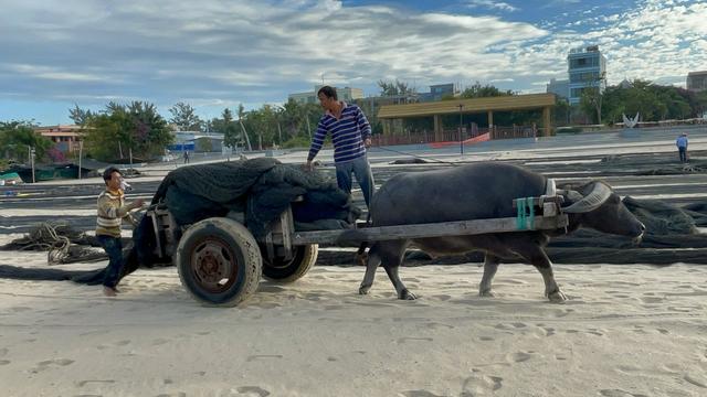 海南印象：女人太能干了，海边晒的大鱼*你干**认识吗？