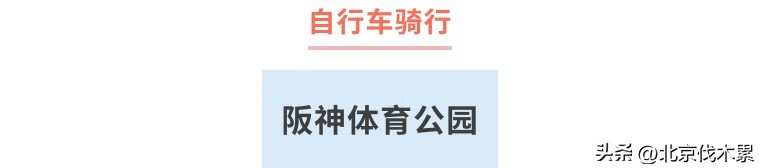 运动萌兽主题公园冬季,天气暖和了野地里撒欢