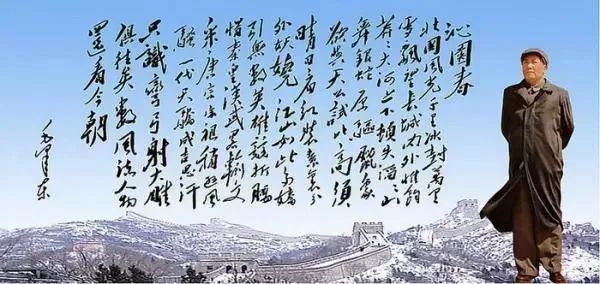 今日大雪，又读*园春沁**·雪