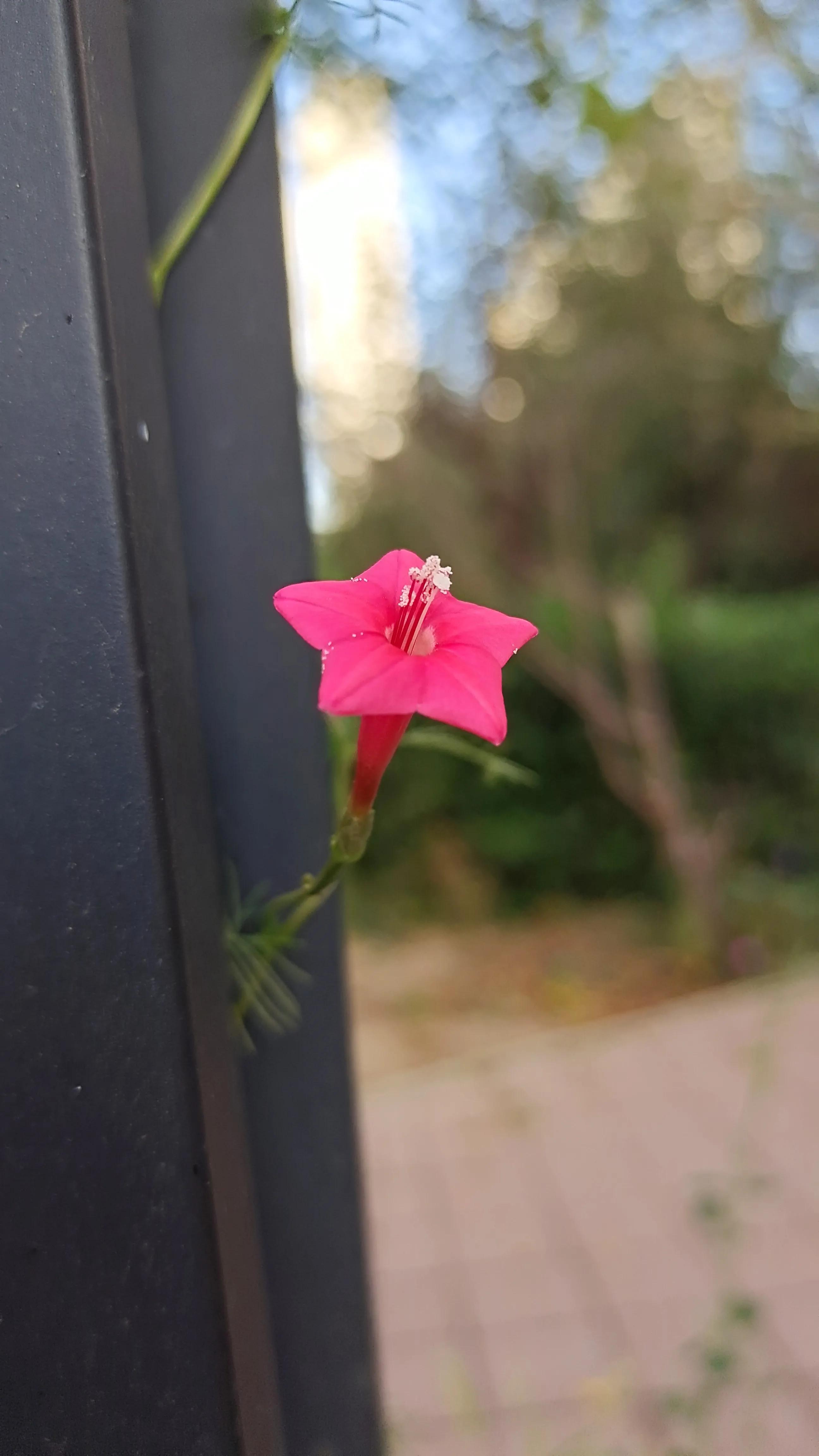 念念不忘必有回响的意思,念念不忘必有回响么