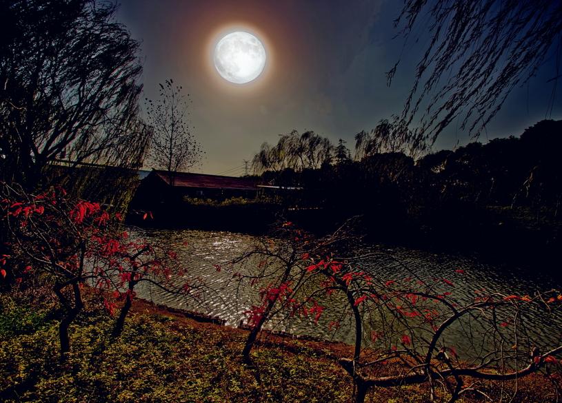 李白秋月无边全文,李白最经典的十首诗