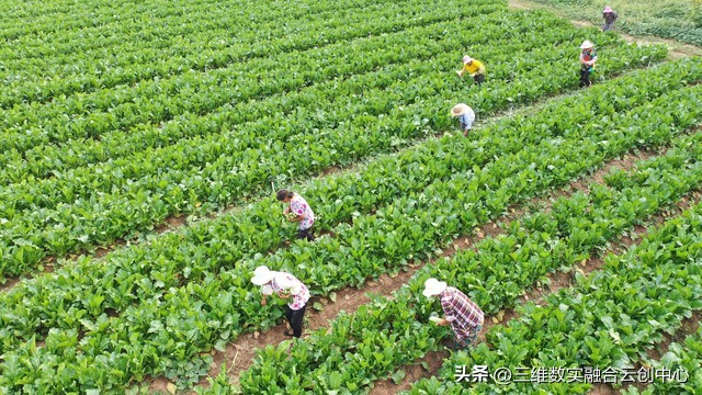 农业发展重点突破,农业创新发展模式