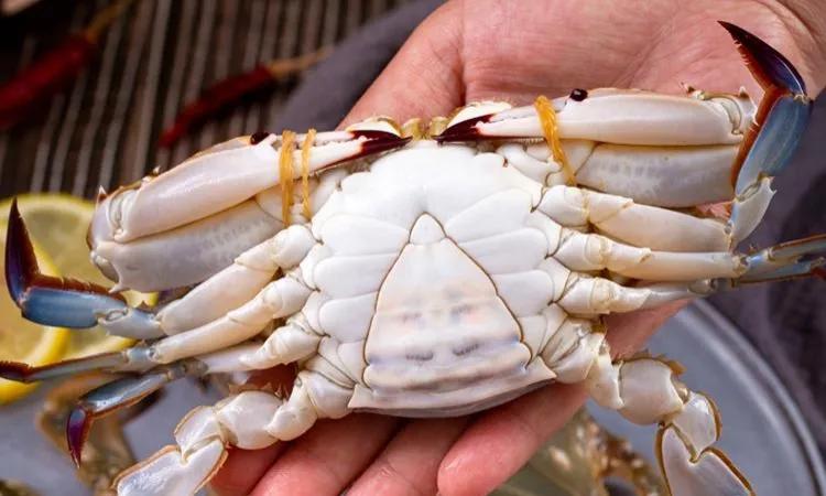 买螃蟹可不能光听卖家的忽悠,买螃蟹为什么不让挑