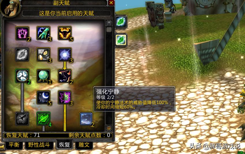 魔兽怀旧服:WLK小德最强玩法,60级特效无限宁静,全程挂机打本