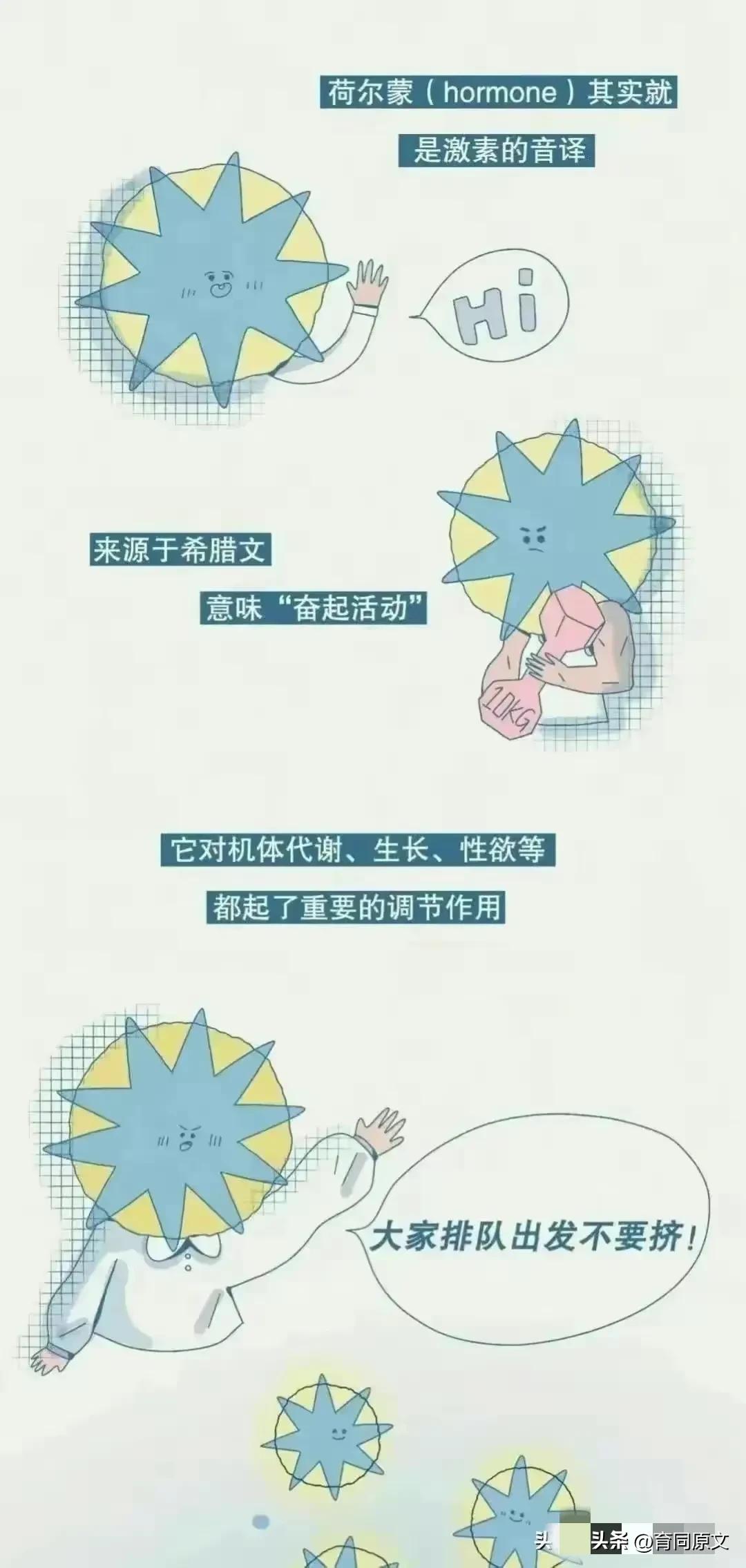 女生分泌荷尔蒙有什么反应,女性荷尔蒙分泌多了会怎样