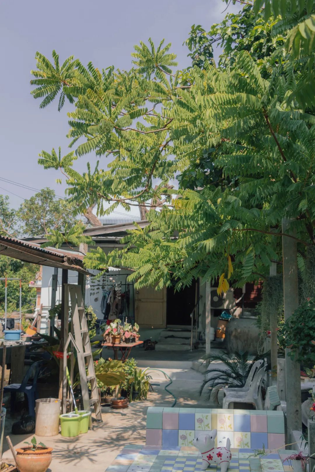 鍘绘嘲鍥芥浖璋峰拰鑺彁闆呯殑鏀荤暐,鍘绘嘲鍥界帺杞浖璋疯姯鎻愰泤