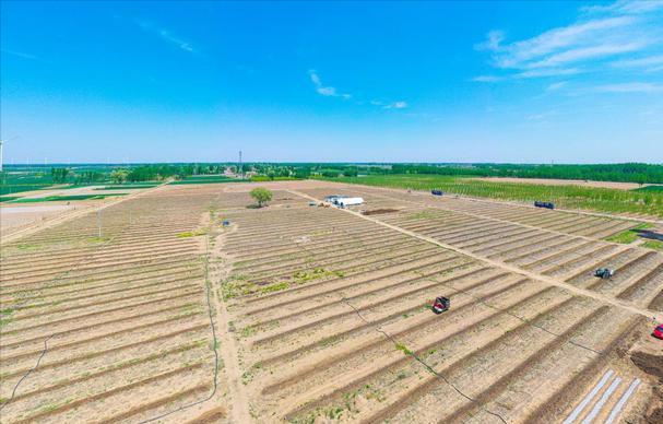 小伙养泥鳅年入百万,90后小伙养变异泥鳅