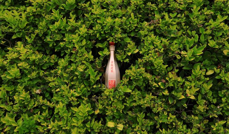 金徽老窖产地是哪里,金徽老窖酒品鉴