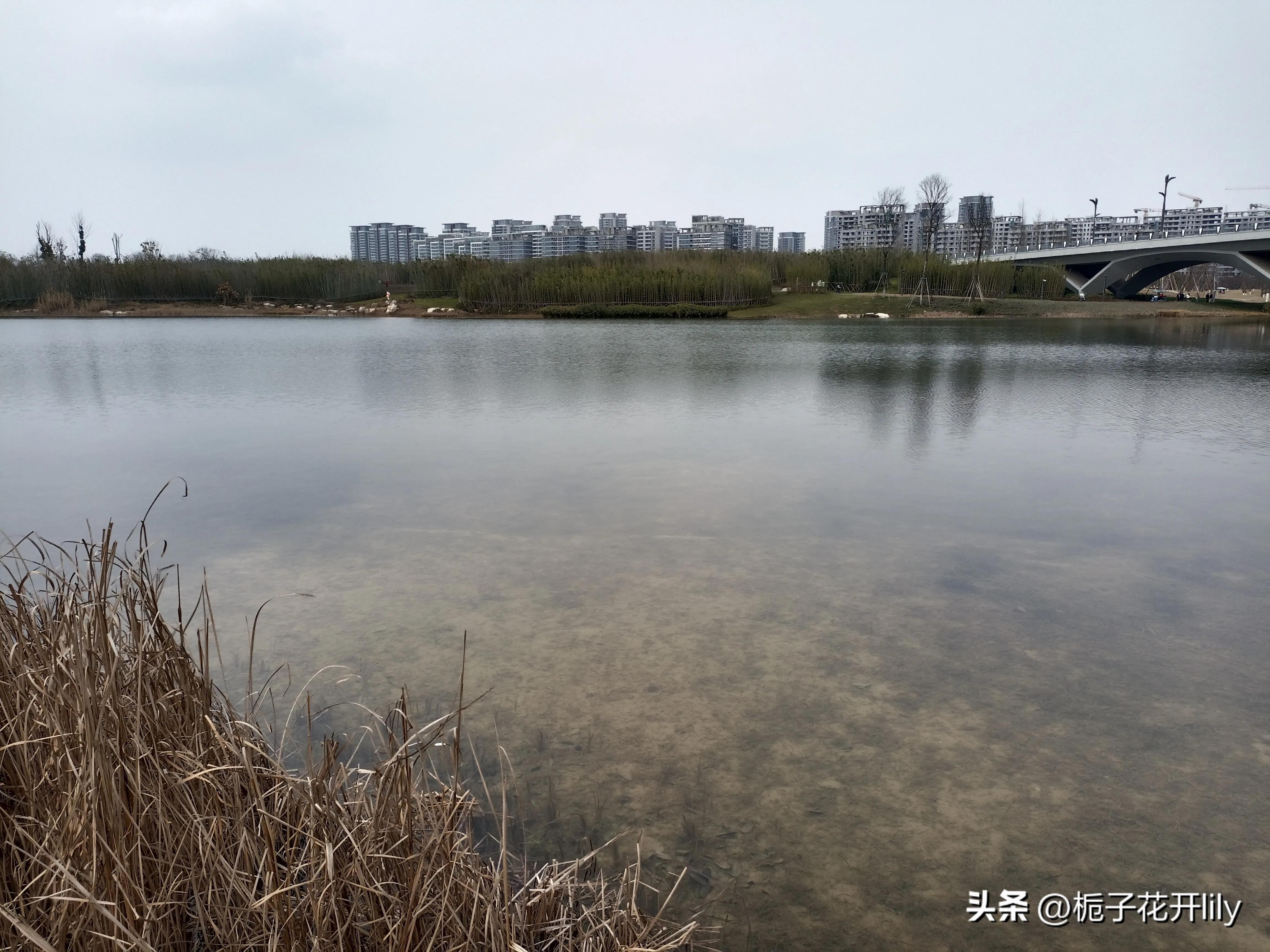 这周末可以在成都哪些地方玩,周末成都有哪些值得去的地方