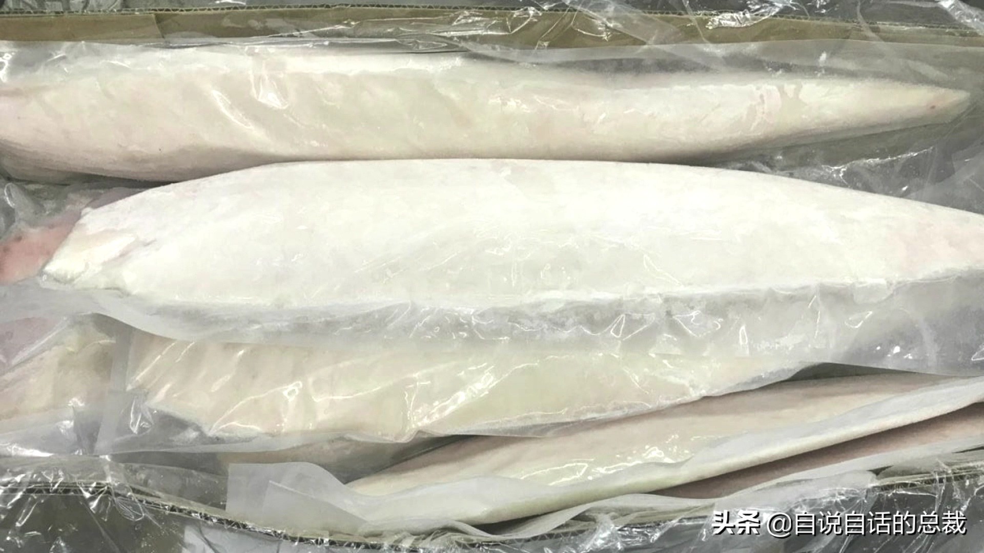 为什么买的鳕鱼段都是粘液,为什么买的鳕鱼那么多水