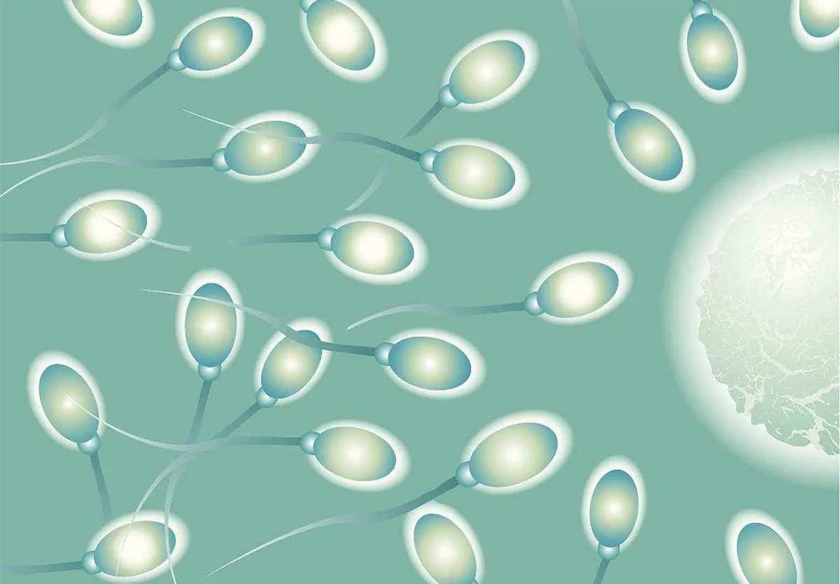 捐精是一种伟大的行为,是对社会的一个贡献