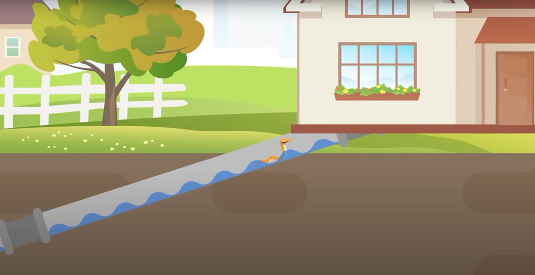 蛇会爬到几十层的楼上去吗,蛇会爬楼视频