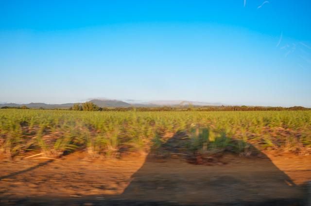 非洲的神奇岛屿毛里求斯，遥远的避世天堂，对中国免签