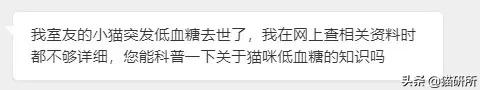 猫咪低血糖严重脱水,猫咪低血糖能导致低体温吗