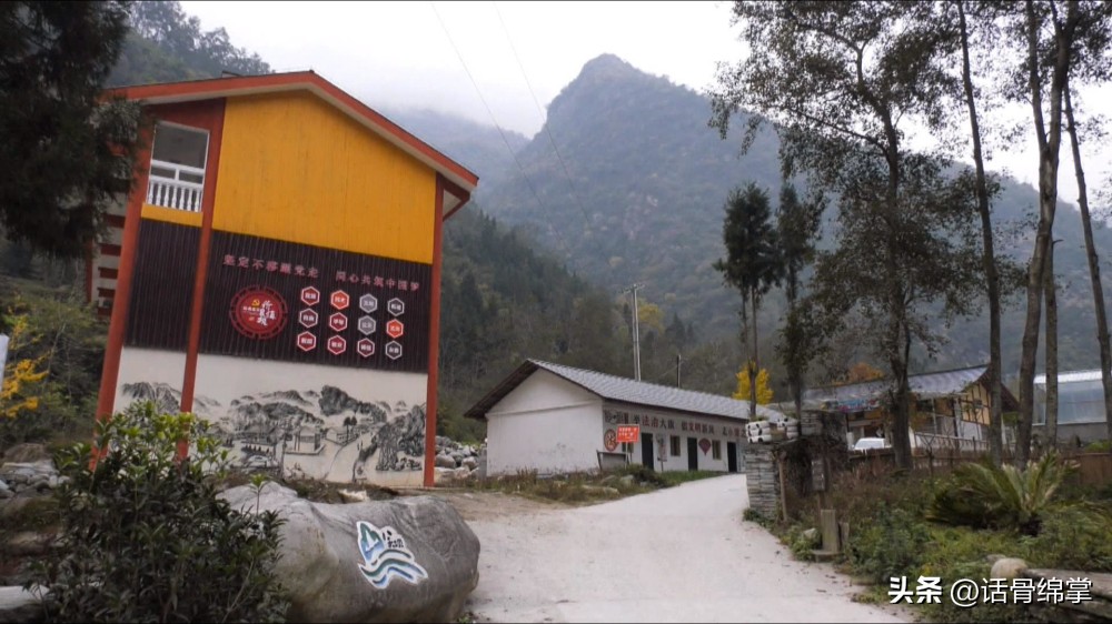 六五环境日关爱自然图片,六五环境日是什么