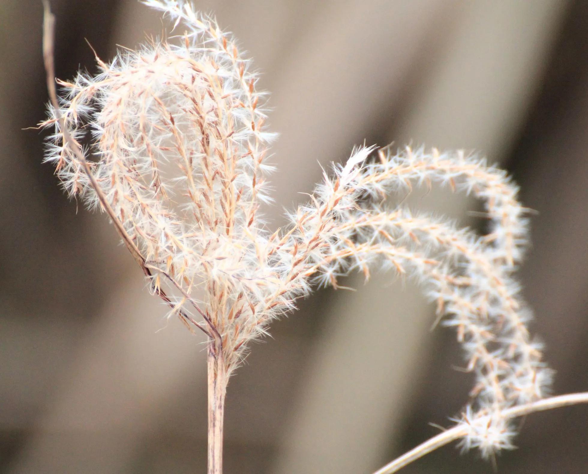 用佳能60d拍照片,新手用佳能600d教程